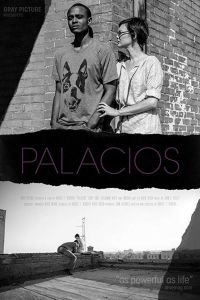 Palacios (2017)
